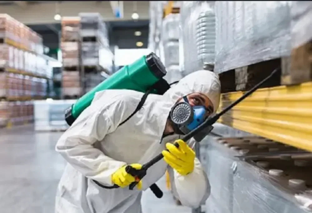 Pest Control Services Delhi | +91 81785 37500